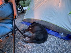 Fabi sleeps on the ground next to the tent